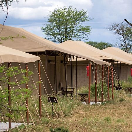 Serengeti Acacia Central Camp Hotell Exteriör bild