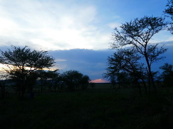 Serengeti Acacia Central Camp Hotell Exteriör bild