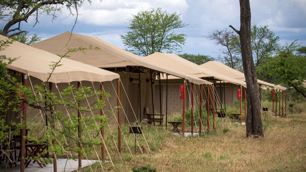 Serengeti Acacia Central Camp Hotell Exteriör bild