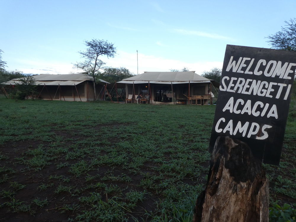 Serengeti Acacia Central Camp Hotell Exteriör bild