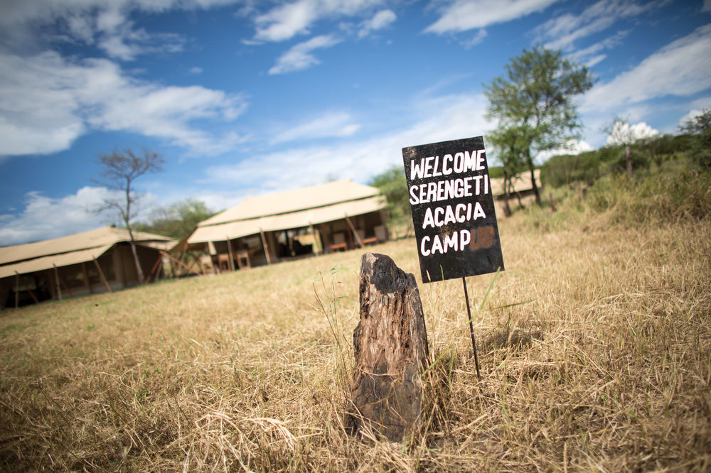 Serengeti Acacia Central Camp Hotell Exteriör bild